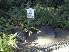 ���D�̕v�w��