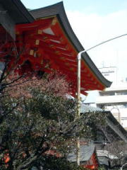 ���c�_��