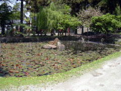 �X���_�Ћ����@���̒r