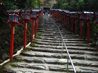 �M�D�_�Ж{�{