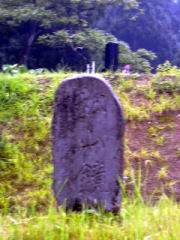 ���R���̔�