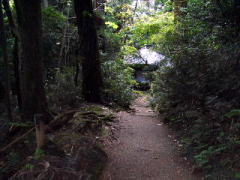 �Ɣn���m�����J