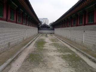 �����{���B�������񂾂�ł�(��)