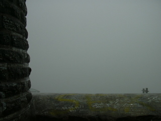 ��������̘T����B�i�F�͌������B