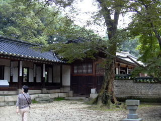 �����{�@���ǂ�^�����@